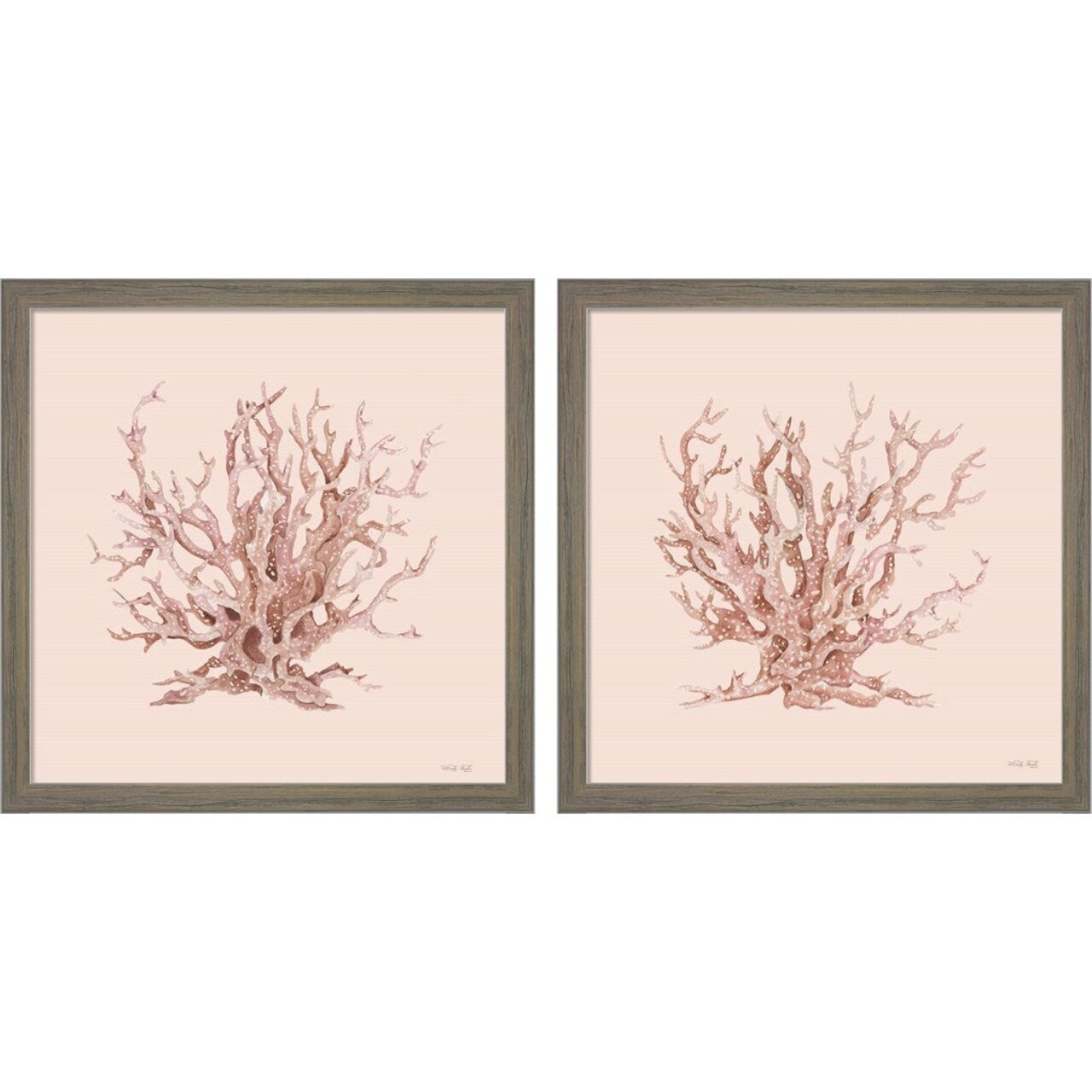 Pink Coral by Cindy Jacobs, 2 Piece Rustic Grey Framed Art Set